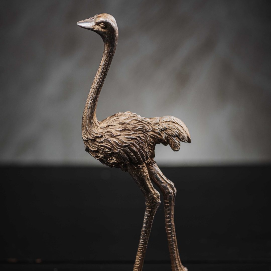 Διακοσμητικό Αγαλματίδιο Στρουθοκάμηλος