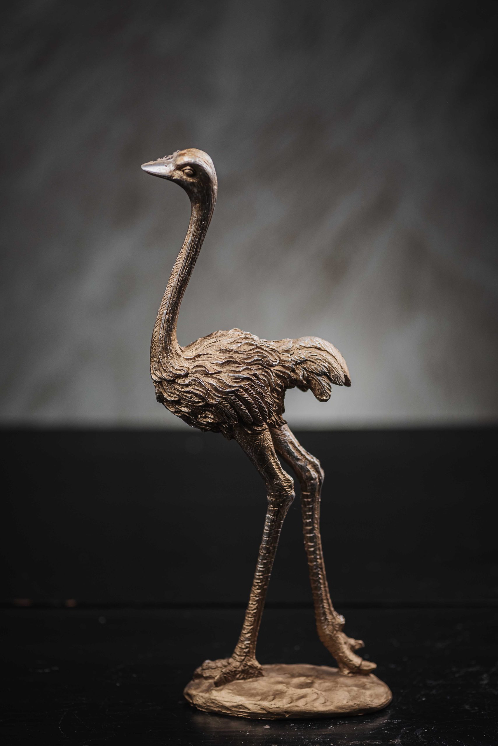 Διακοσμητικό Αγαλματίδιο Στρουθοκάμηλος