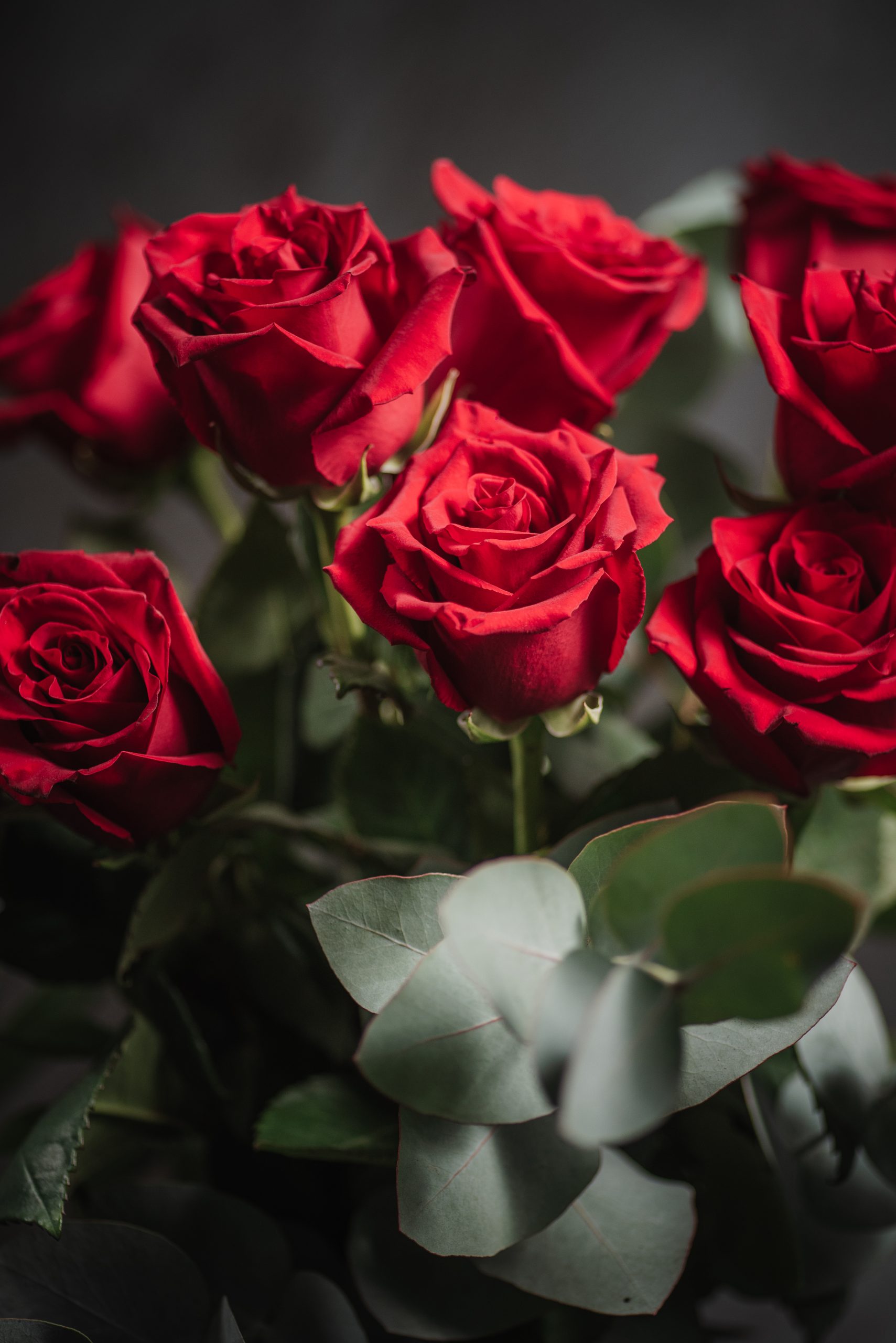 Velvet Flame | Red Roses Bouquet - Image 3
